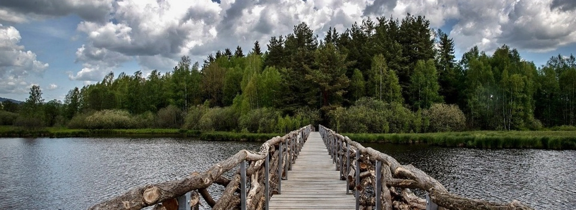 Výlet na naučnou stezku okolo rybníku Olšina